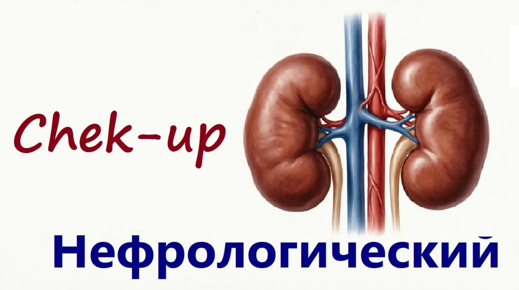Нефрологический чекап в Балашихе