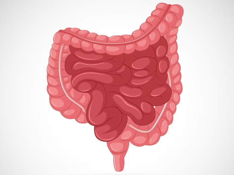 Осложнения копростаза