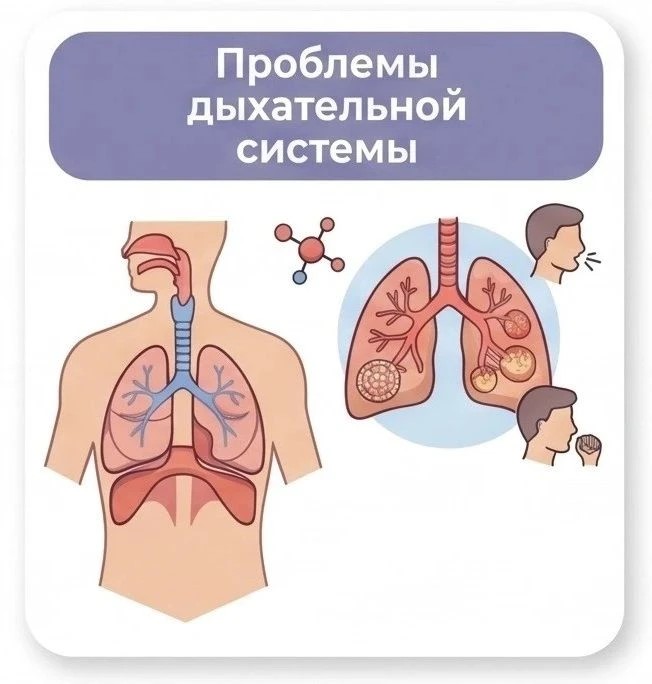 Проблемы дыхательной системы