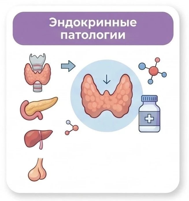 Эндокринные патологии